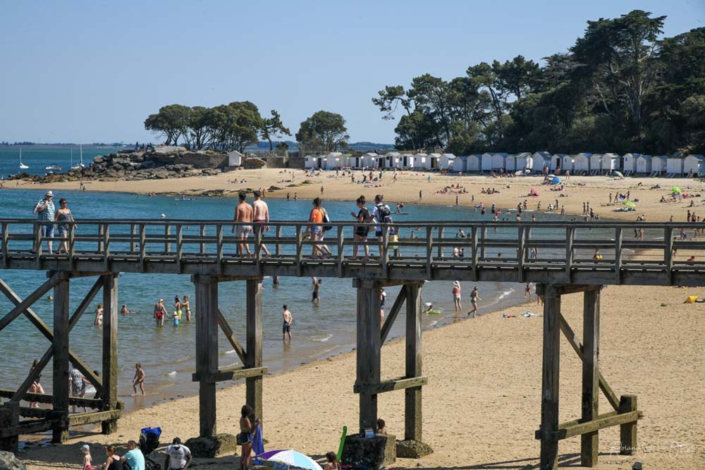 Bois de la Chaize estacade Noirmoutier