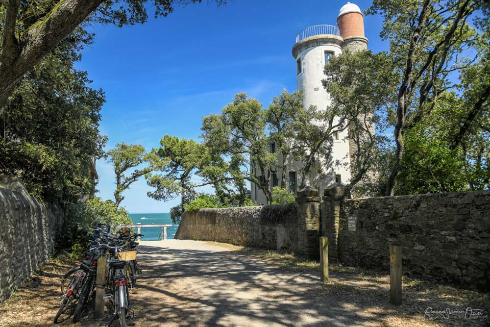 Bois de la Chaize Noirmoutier