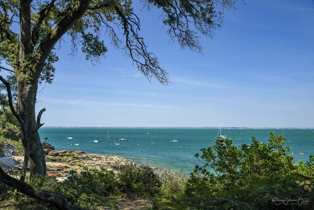 Noirmoutier Bois de la Chaize