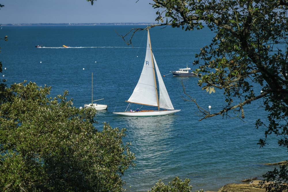 Noirmoutier Bois de la Chaize