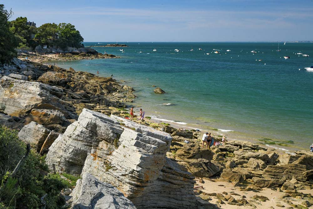 Noirmoutier Bois de la Chaize