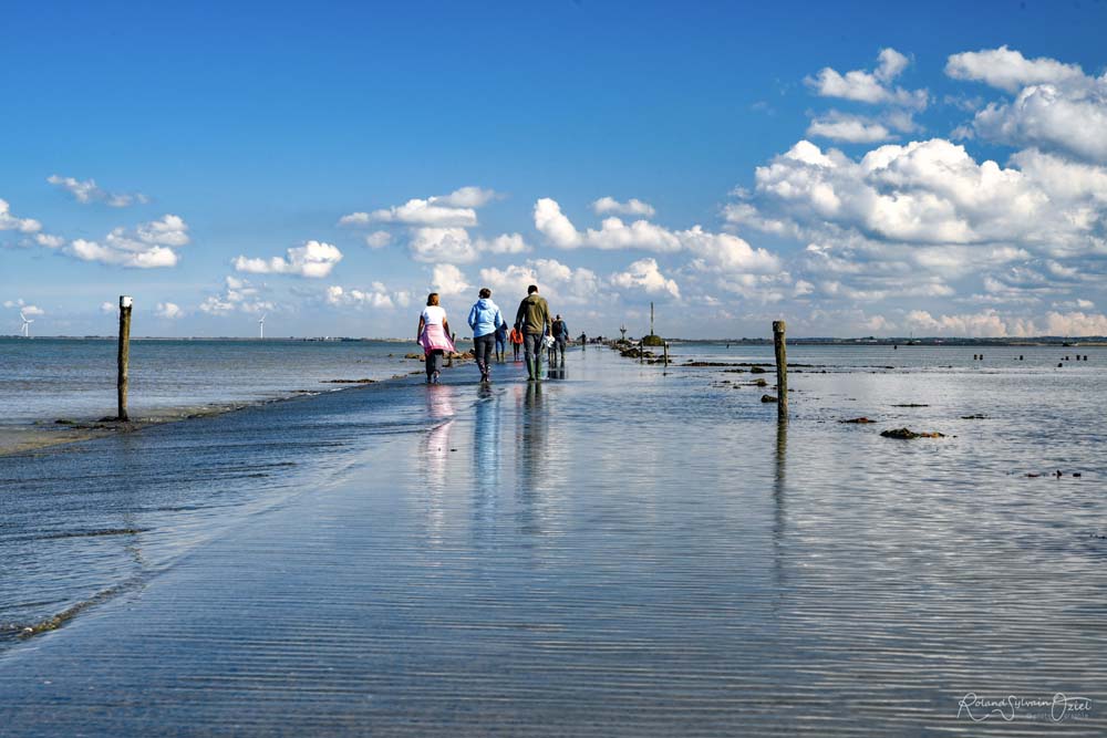 Pêcheurs sur le passage du gois à Noirmoutier