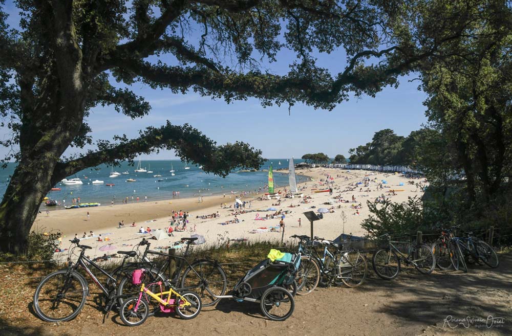 Plage des dames Noirmoutier à vélo