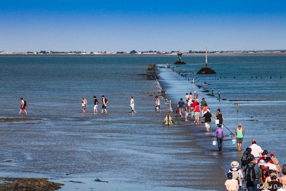 pêche passage du gois